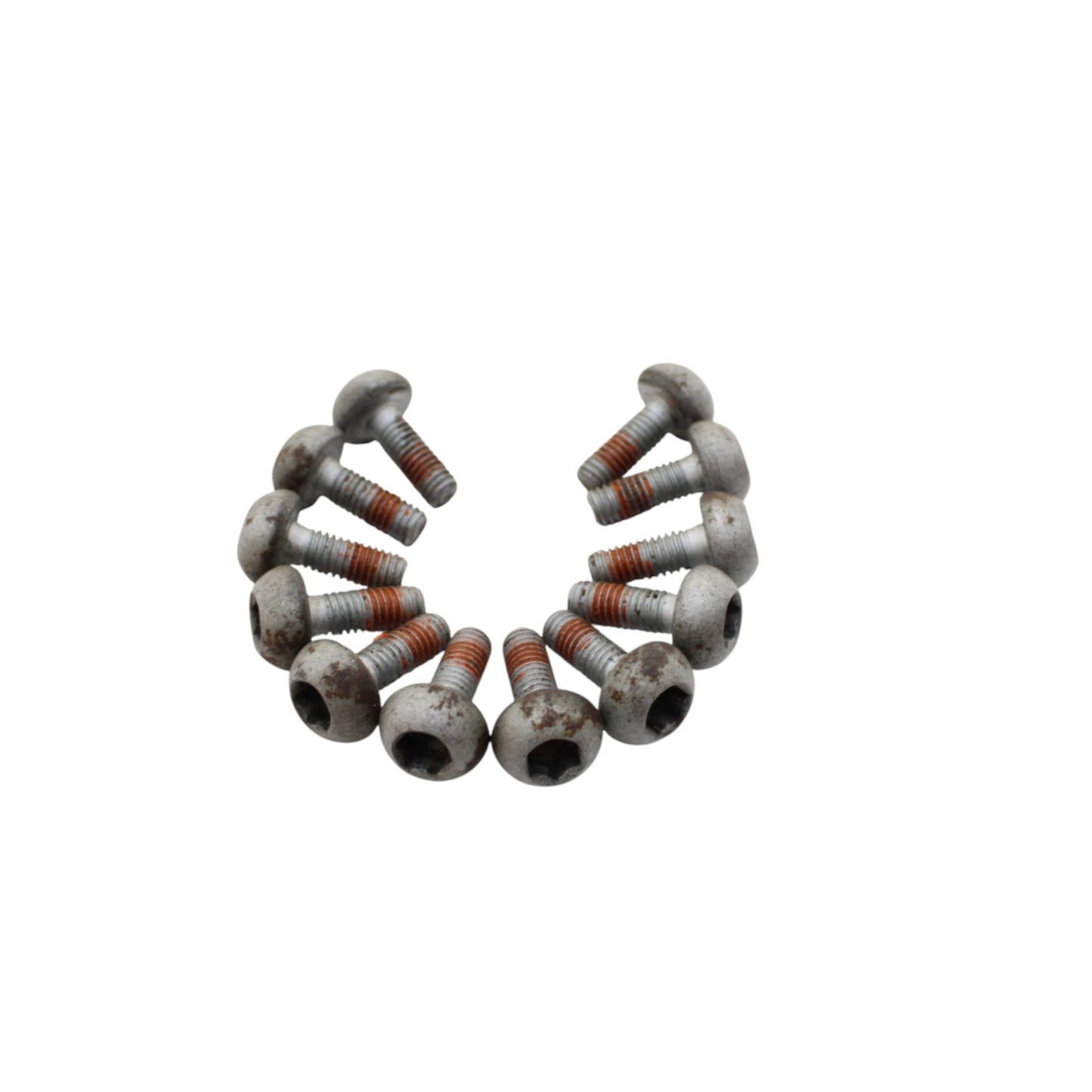 2008 - 2011 HONDA CBR1000RR FRONT BRAKE ROTOR BOLTS DISC HARDWARE SCREW SET