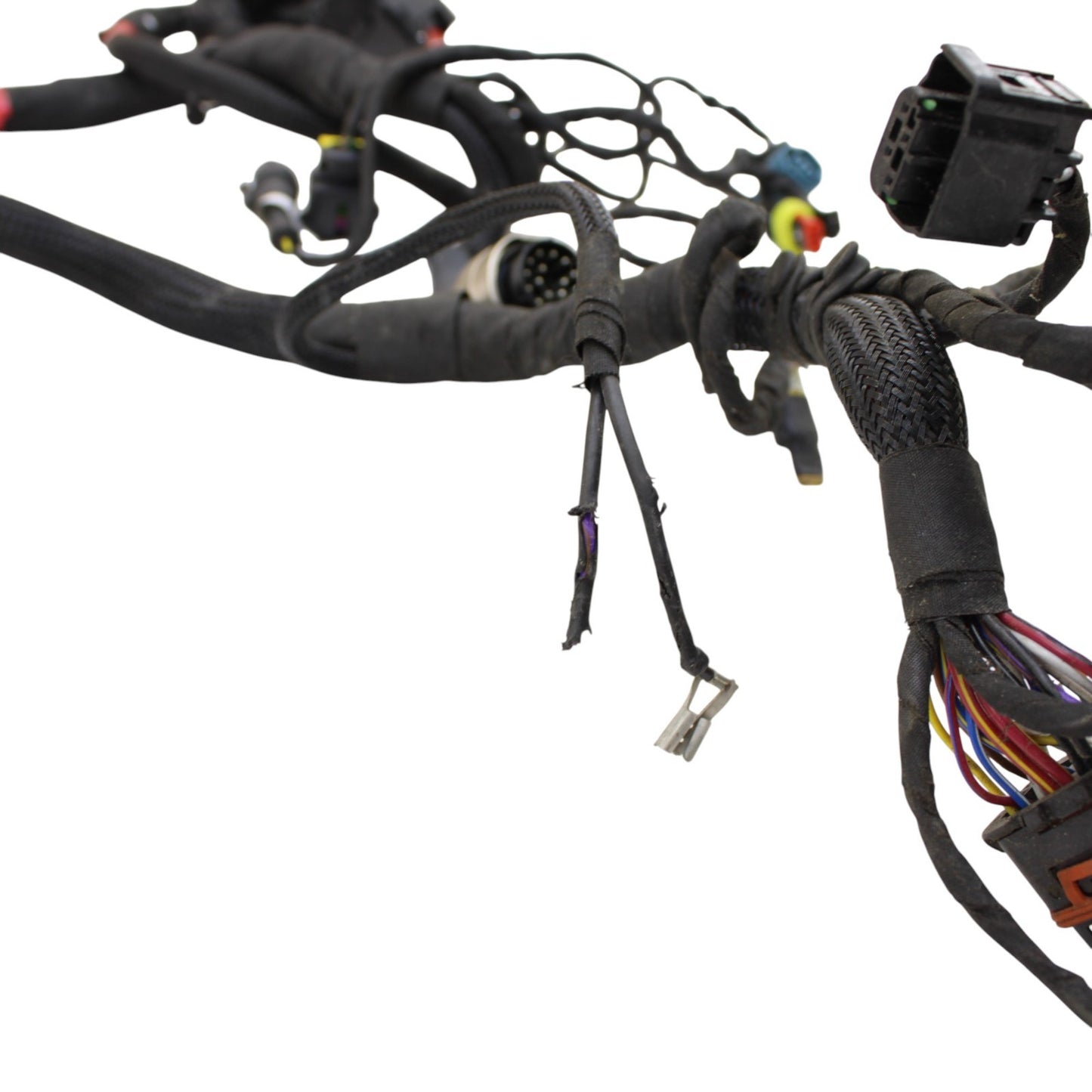 2020 - 2024 DUCATI PANIGALE V2 MAIN WIRING HARNESS ENGINE MOTOR WIRE LOOM