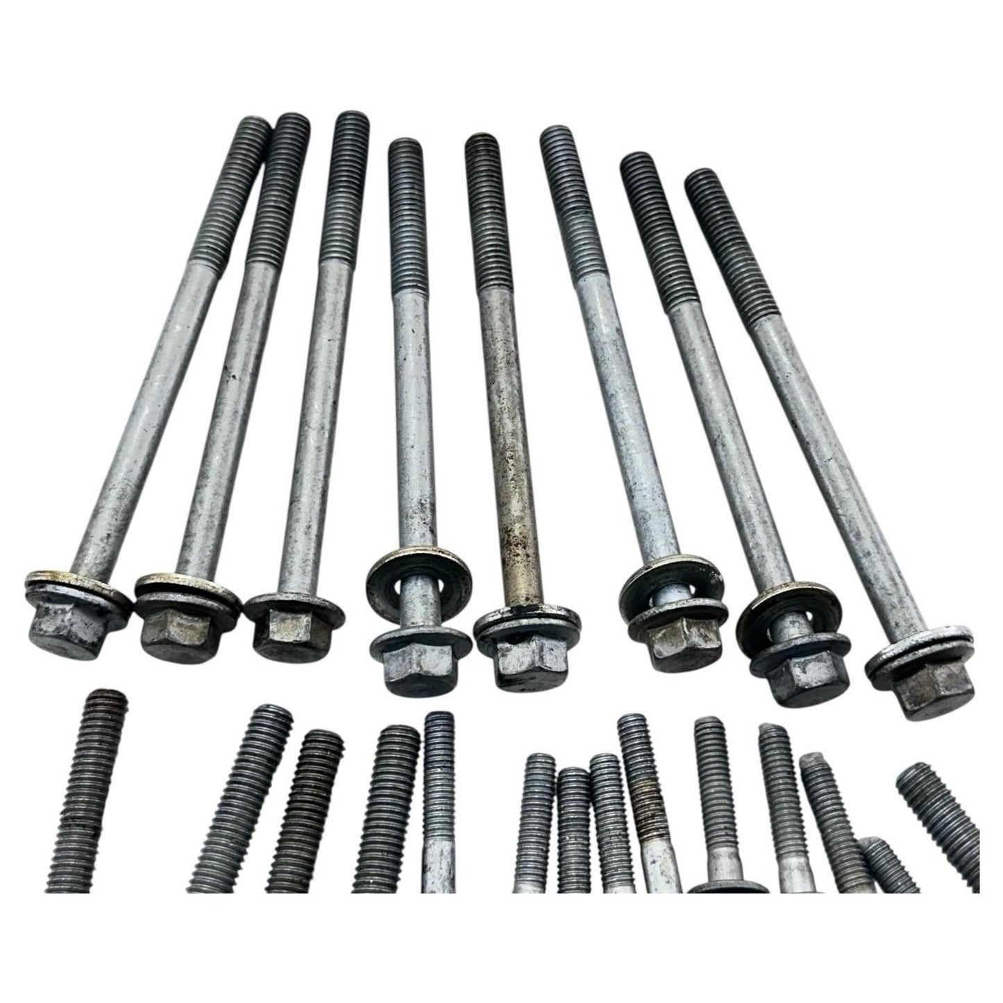 2006 - 2008 TRIUMPH DAYTONA 675 CRANKCASE BOLTS CRANK CASE HARDWARE SET STOCK