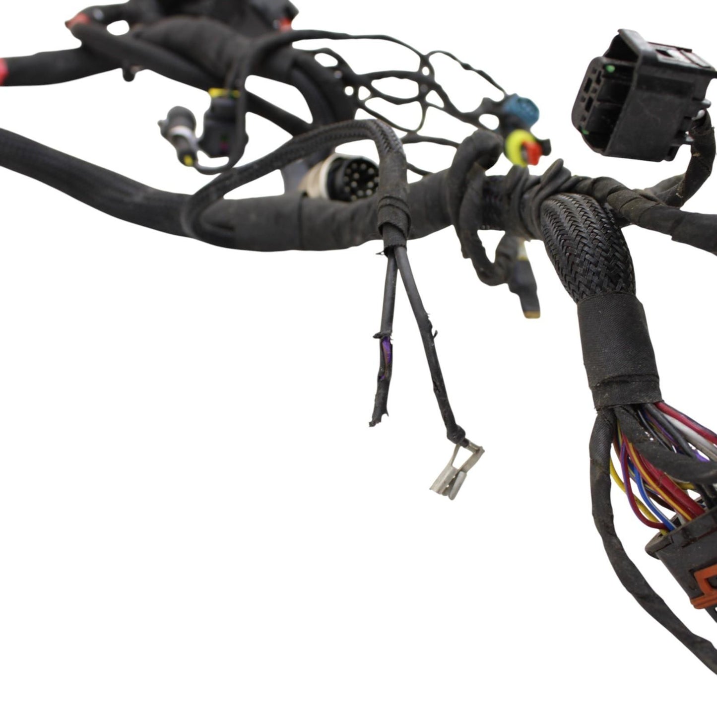 2020 - 2024 DUCATI PANIGALE V2 MAIN HARNESS WIRING ENGINE MOTOR WIRE ELECTRICAL