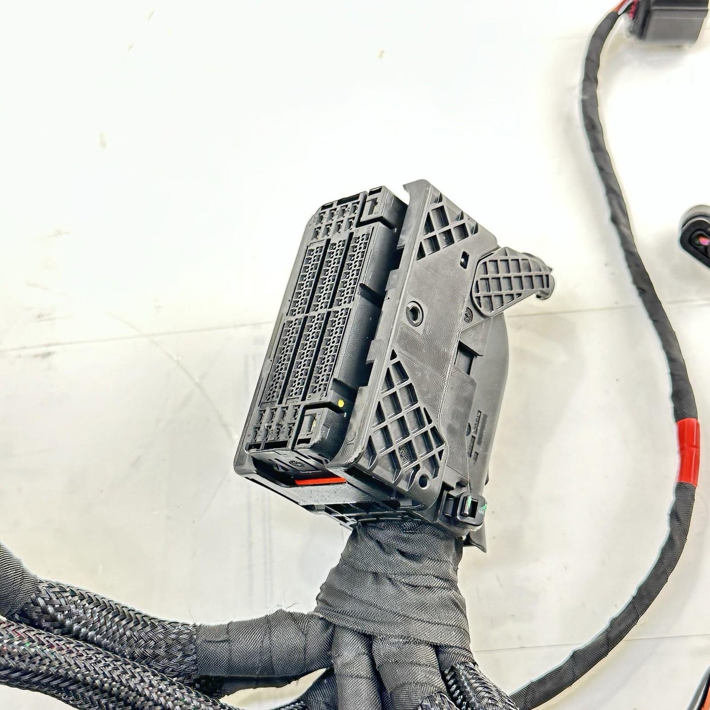 2018 - 2024 DUCATI PANIGALE V4S SUB WIRING HARNESS ENGINE MOTOR WIRE LOOM STOCK