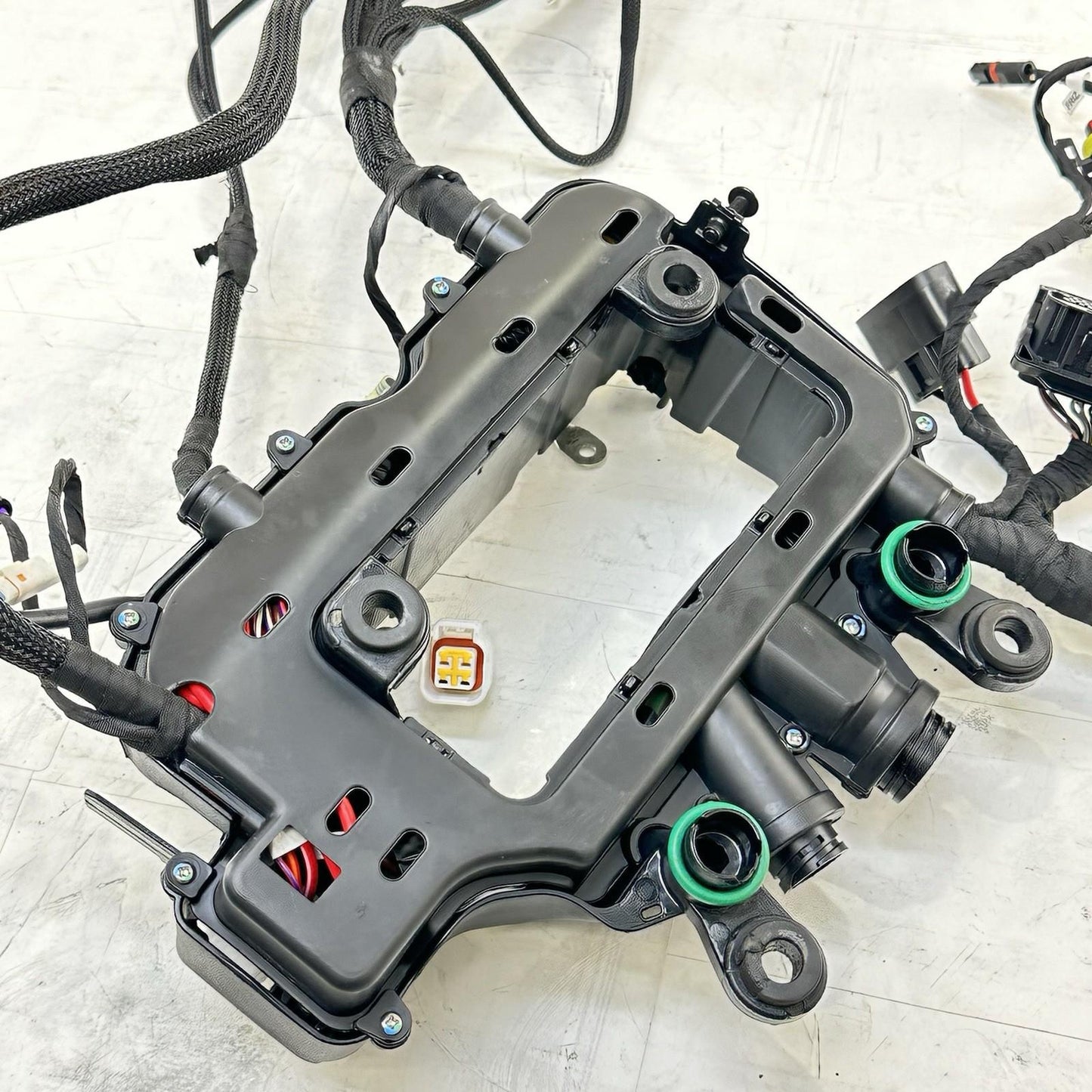 2018 - 2024 DUCATI PANIGALE V4S MAIN WIRING HARNESS ENGINE MOTOR WIRE LOOM STOCK