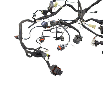 2016 - 2019 DUCATI PANIGALE 959 MAIN HARNESS ENGINE WIRE LOOM ELECTRICAL