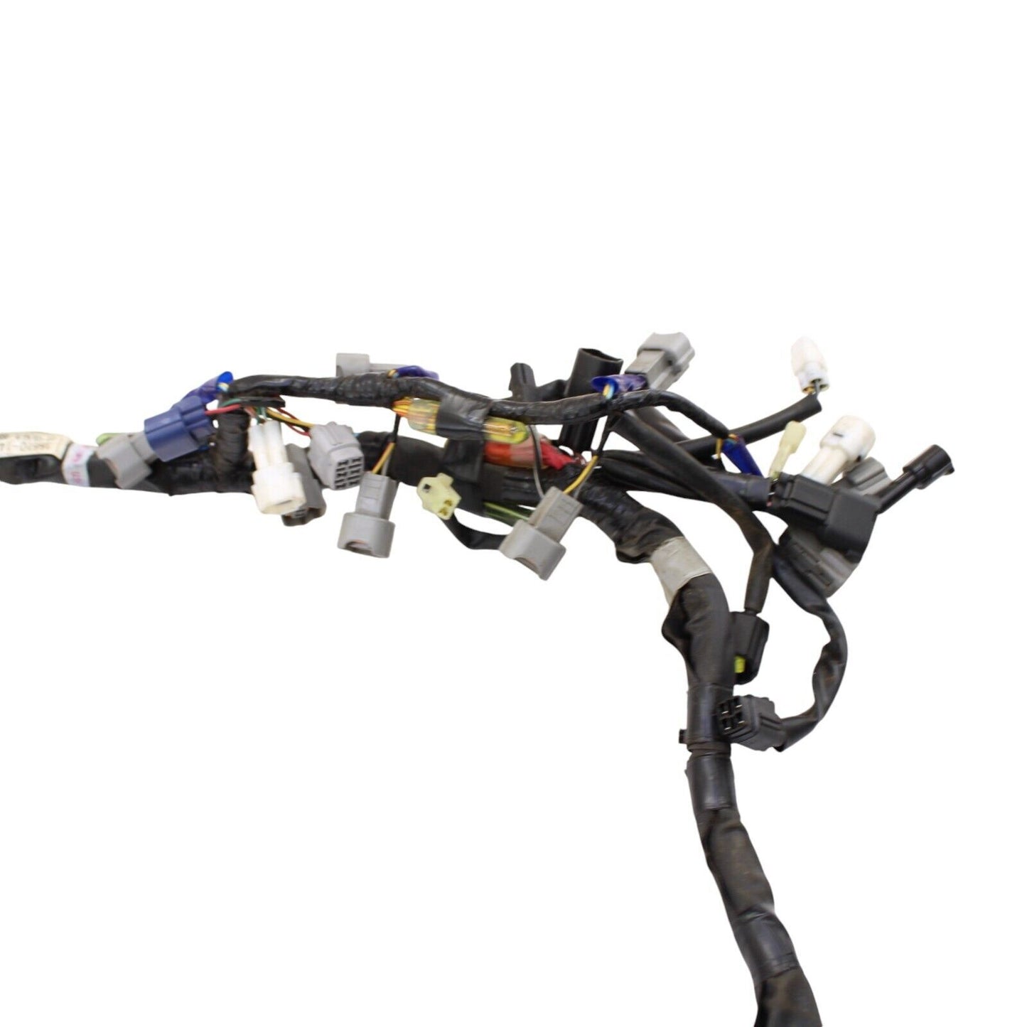 Image #7