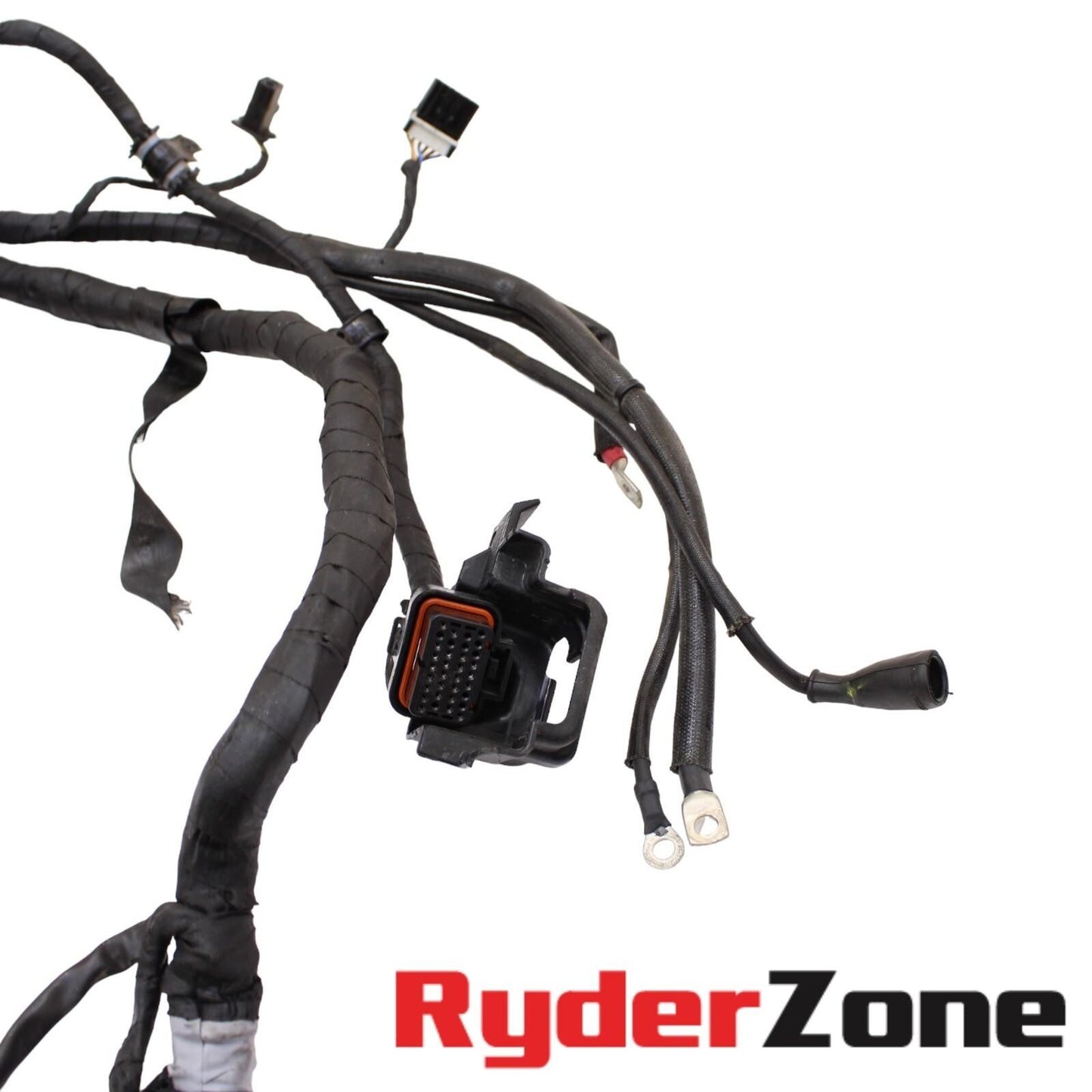 Image #7