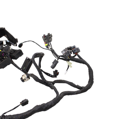 2016 - 2019 DUCATI PANIGALE 959 MAIN HARNESS ENGINE WIRE LOOM ELECTRICAL