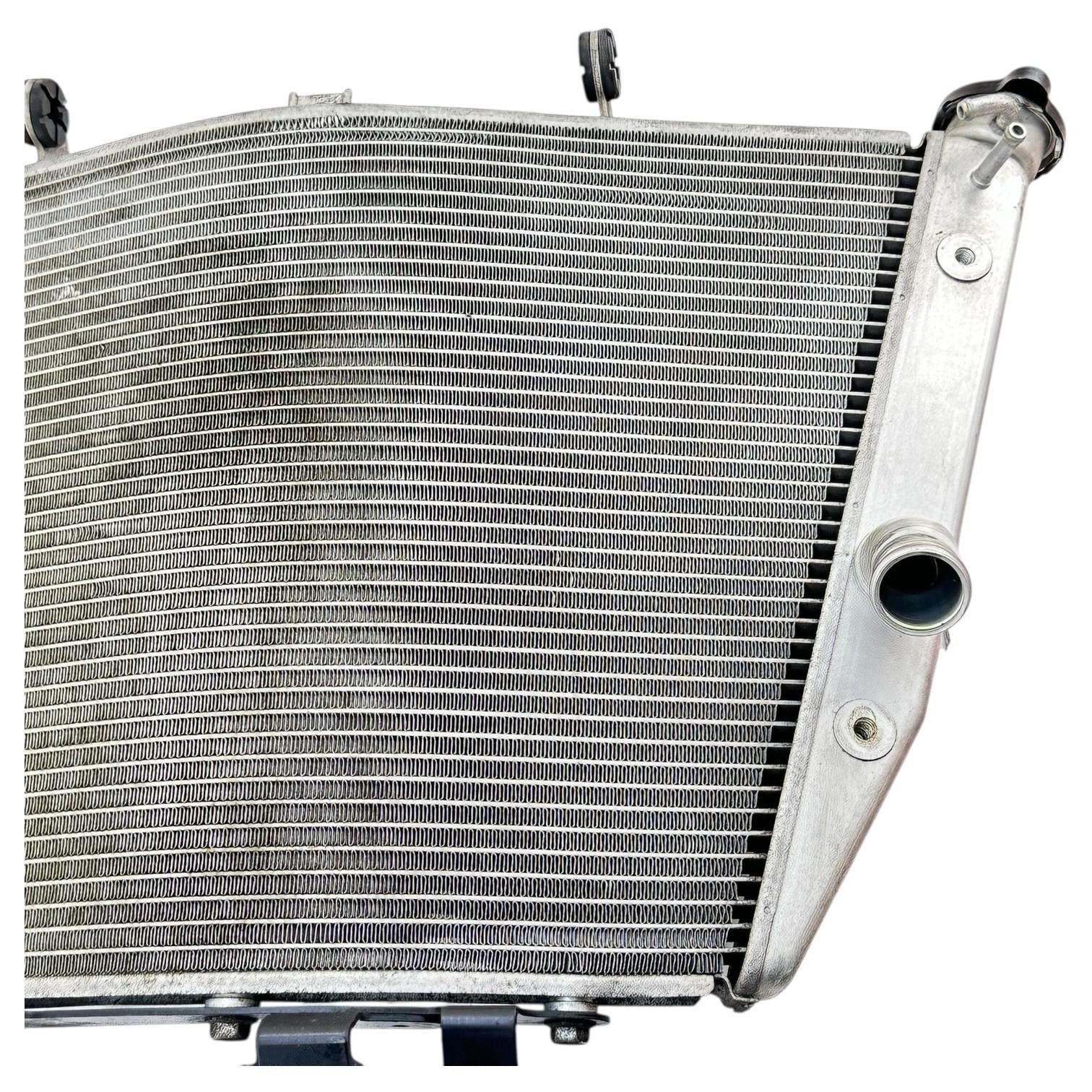 Image #17