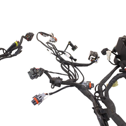2016 - 2019 DUCATI PANIGALE 959 MAIN HARNESS ENGINE WIRE LOOM ELECTRICAL