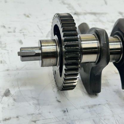 Image #7