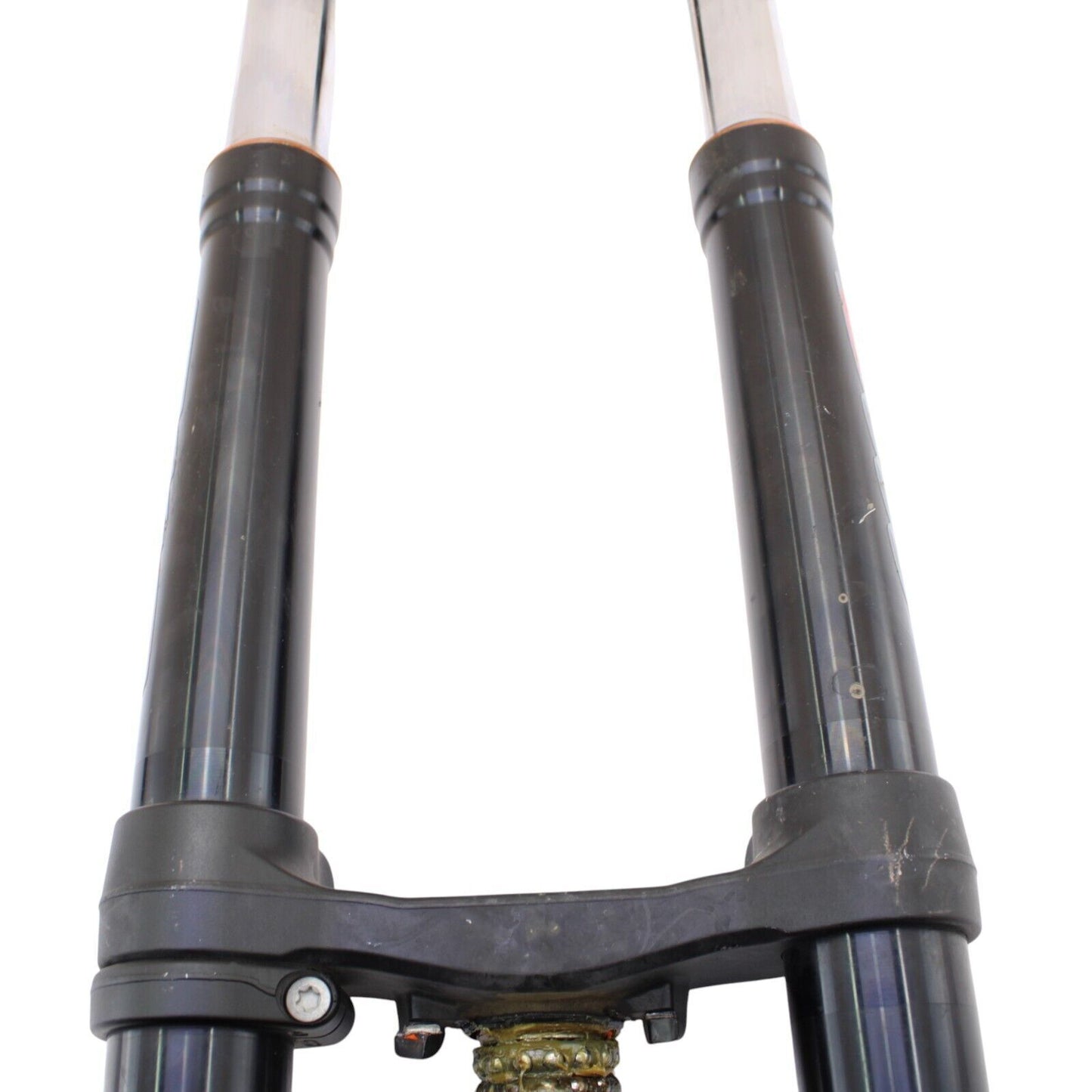 Image #13