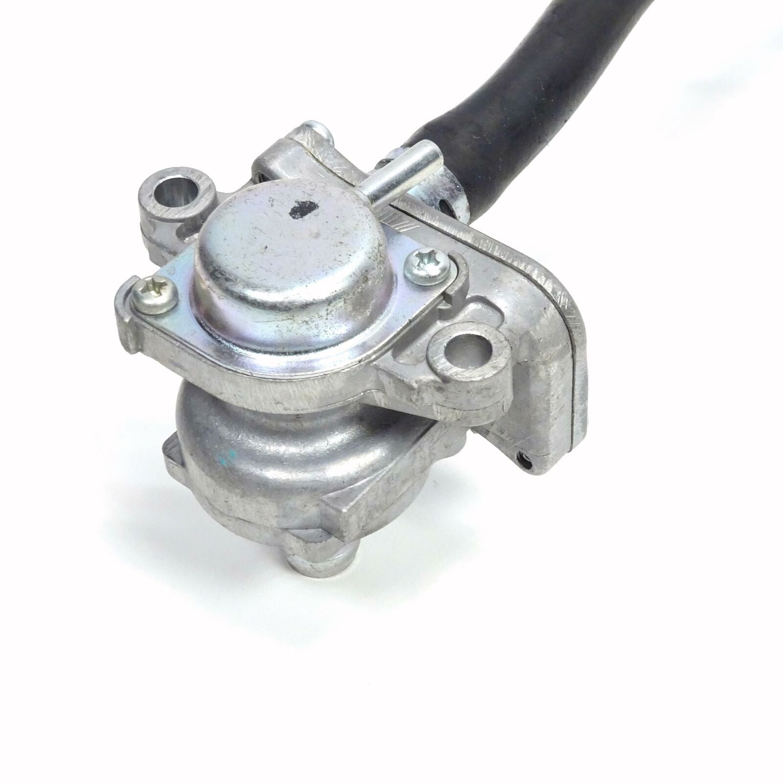 Image #7