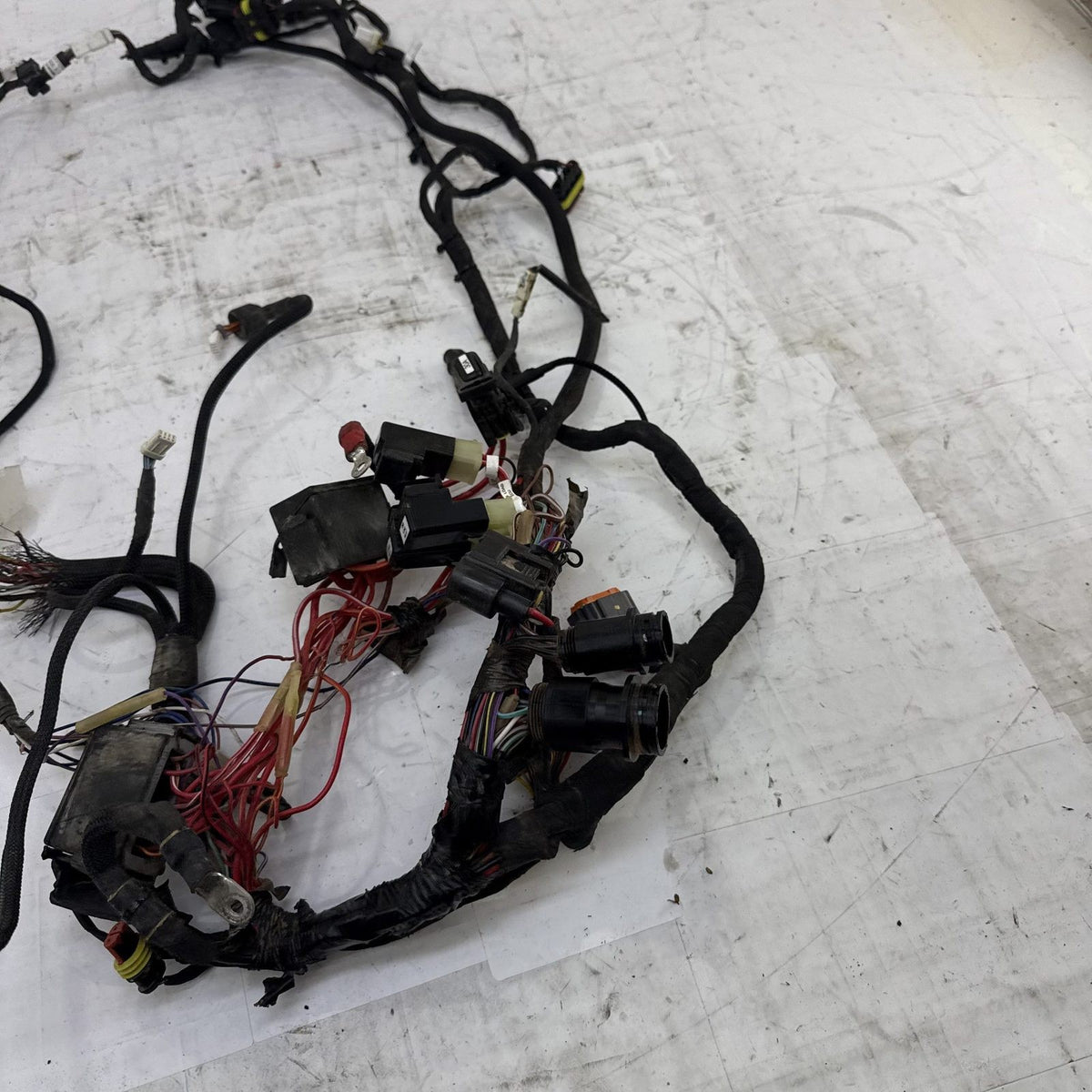 Image #15