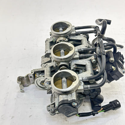 2013 - 2017 TRIUMPH DAYTONA 675RN THROTTLE BODY FUEL INJECTORS RAILING STOCK