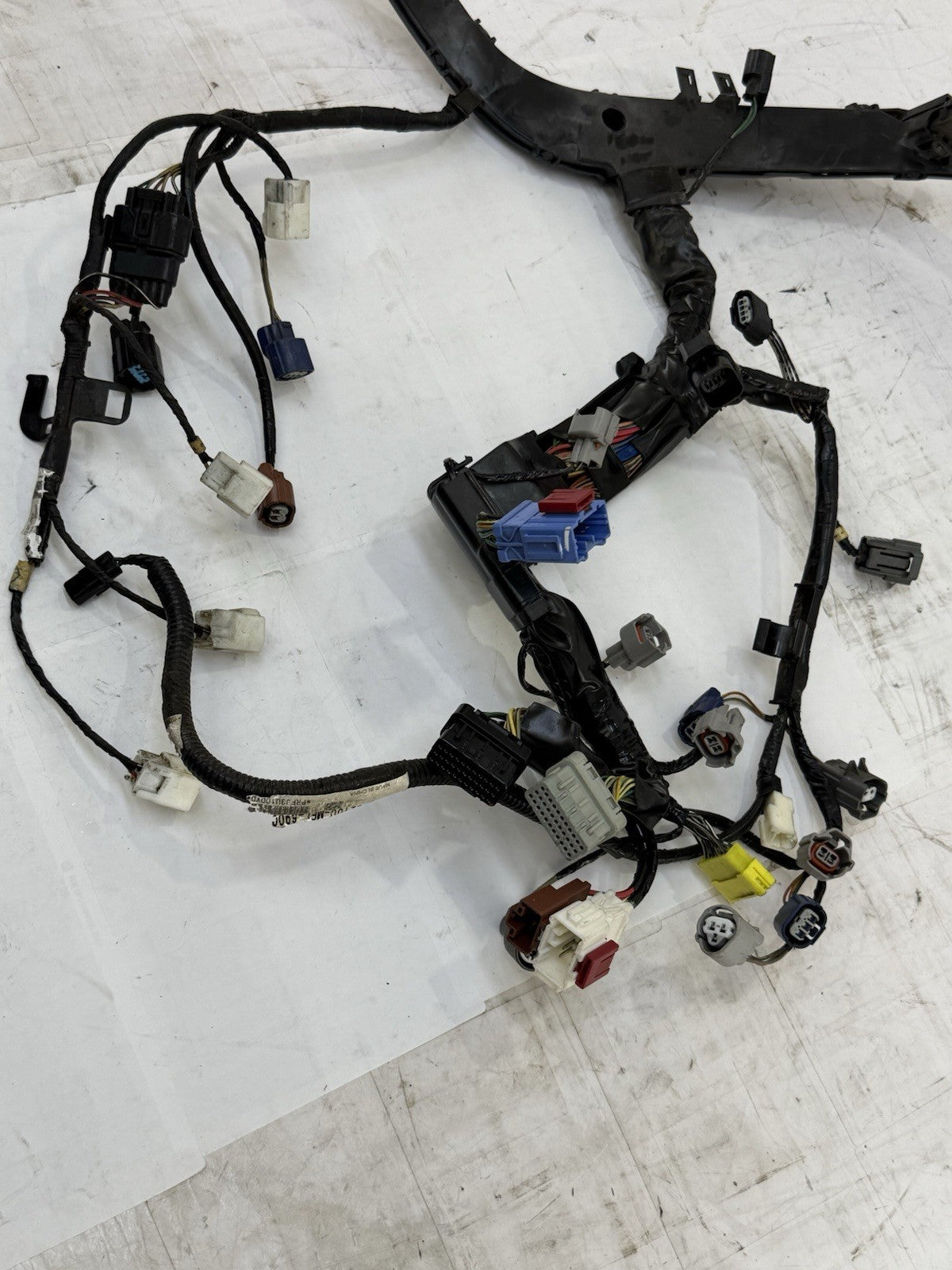 Image #5