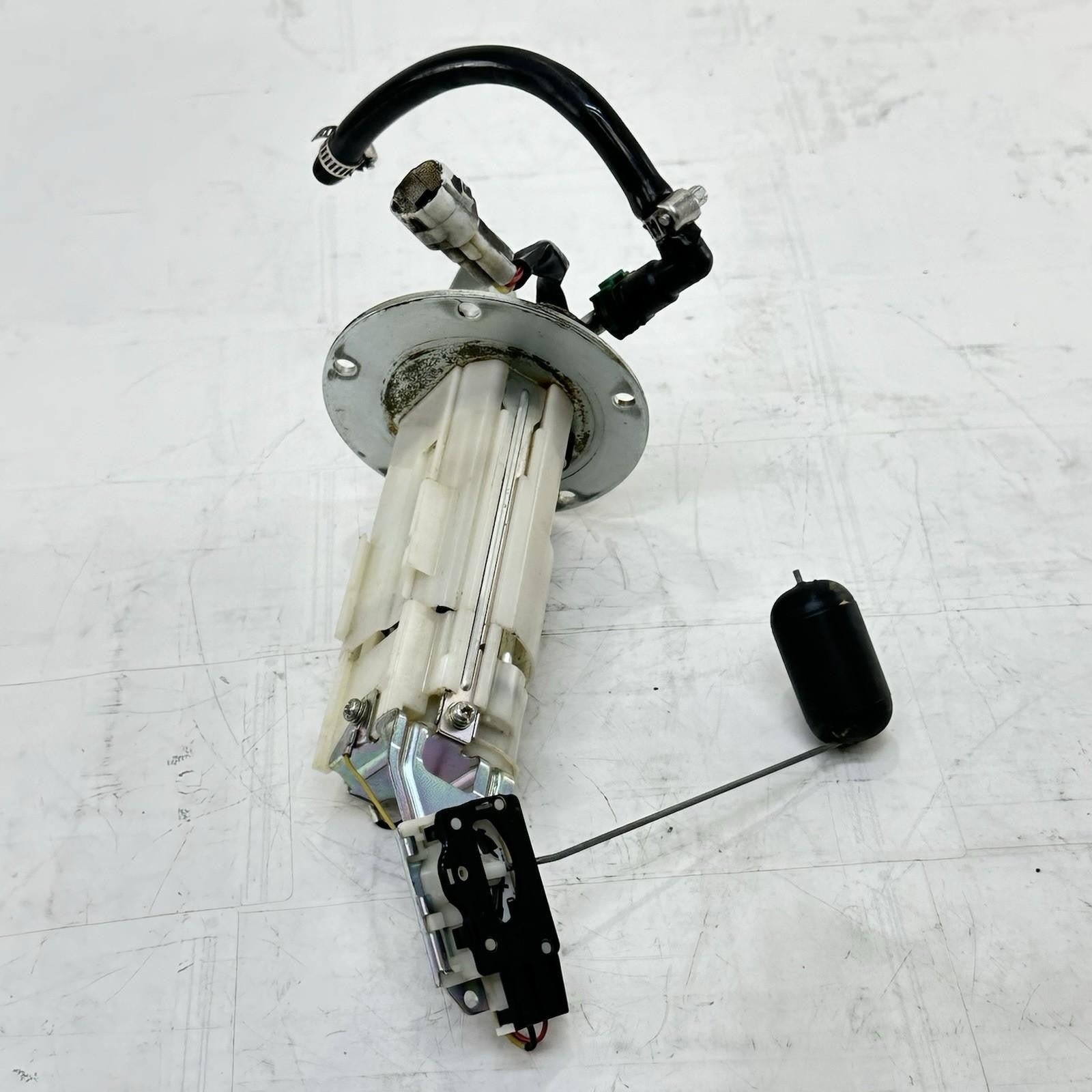 Image #4