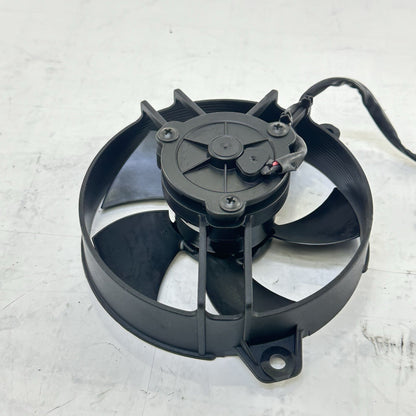 Image #7