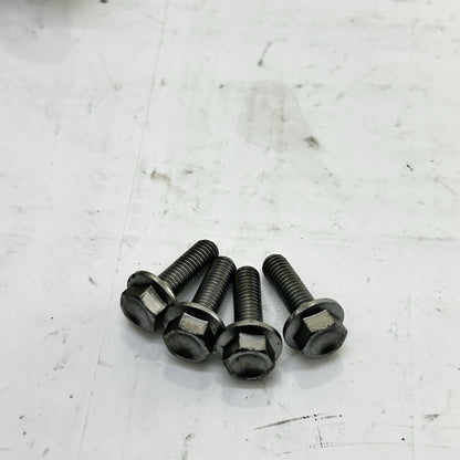 2013 - 2017 TRIUMPH DAYTONA 675R PASSENGER PEGS REAR FOOT REST LEFT RIGHT SET