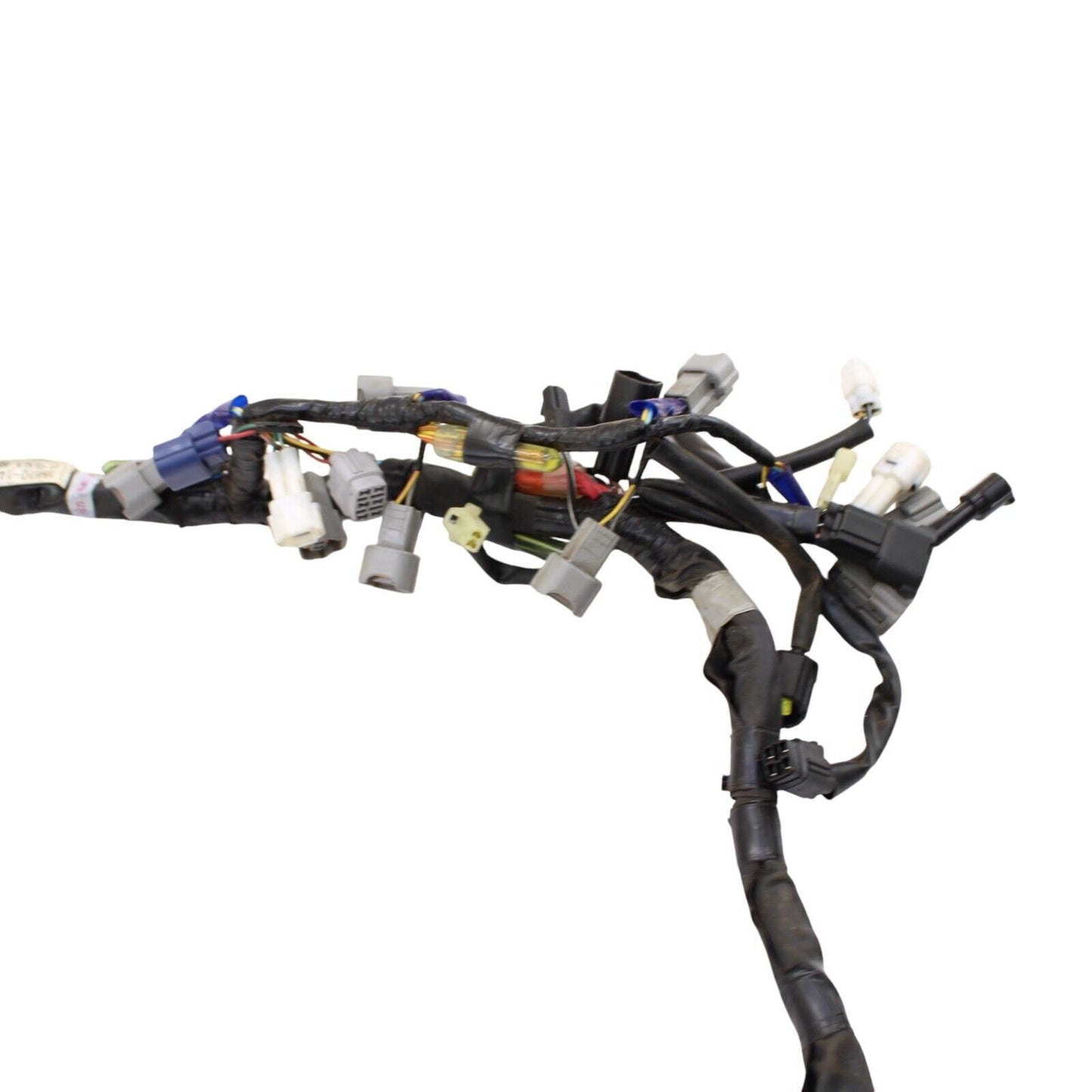 Image #7