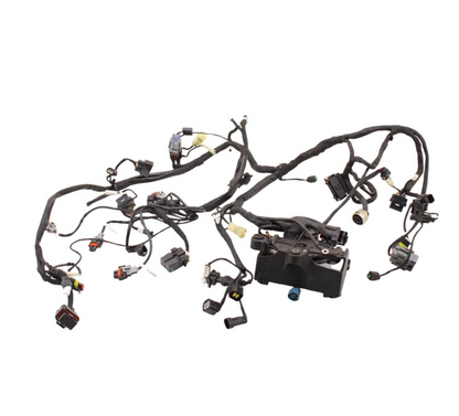 2016 - 2019 DUCATI PANIGALE 959 MAIN HARNESS ENGINE WIRE LOOM ELECTRICAL