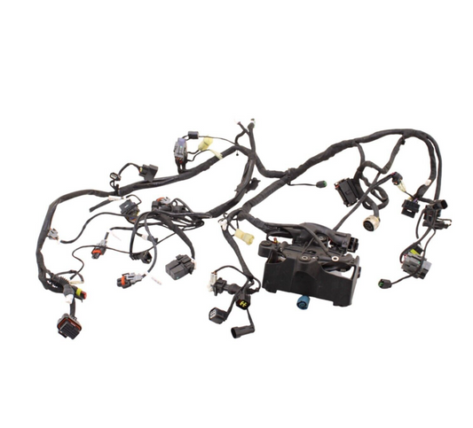 2016 - 2019 DUCATI PANIGALE 959 MAIN HARNESS ENGINE WIRE LOOM ELECTRICAL