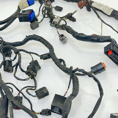 Image #14