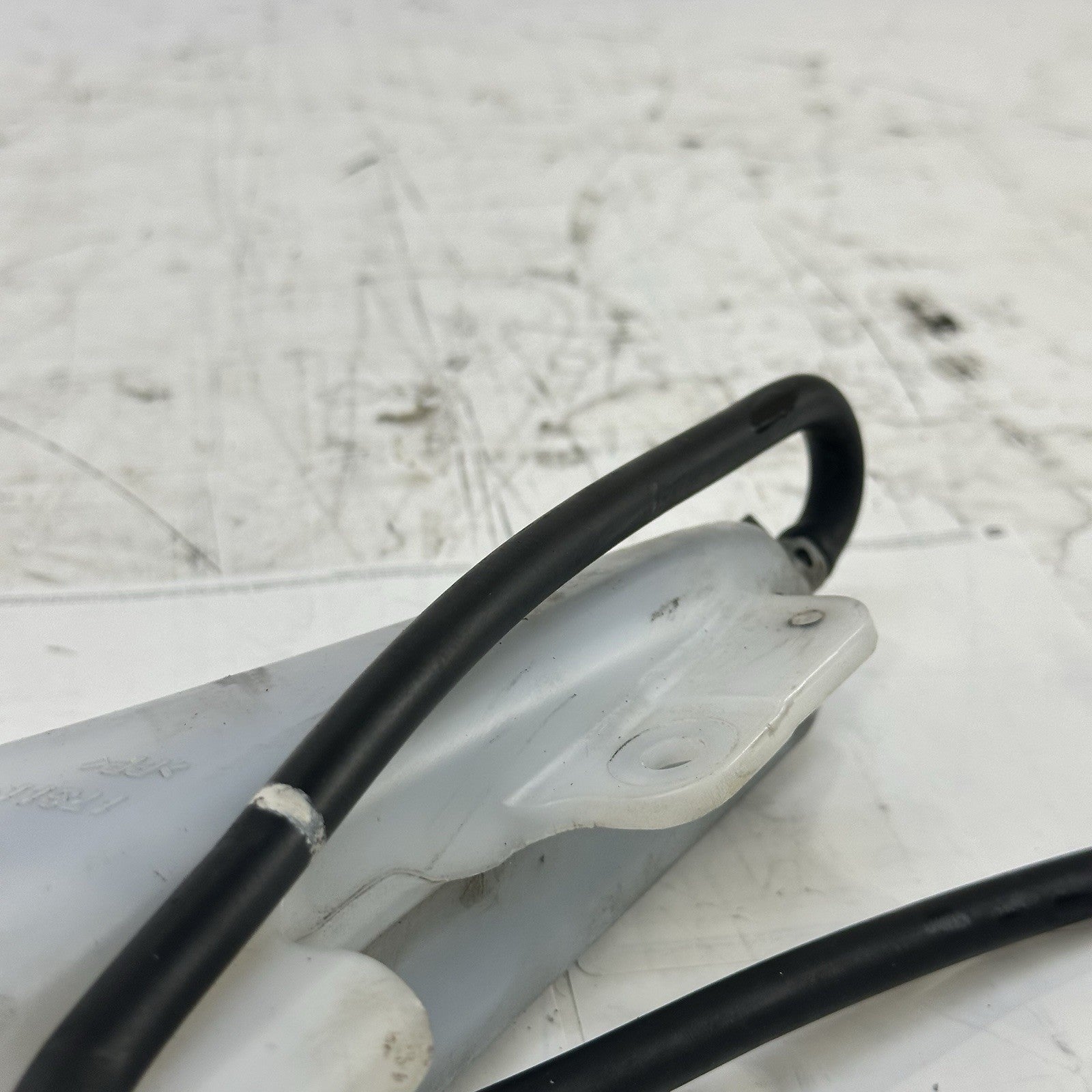Image #7