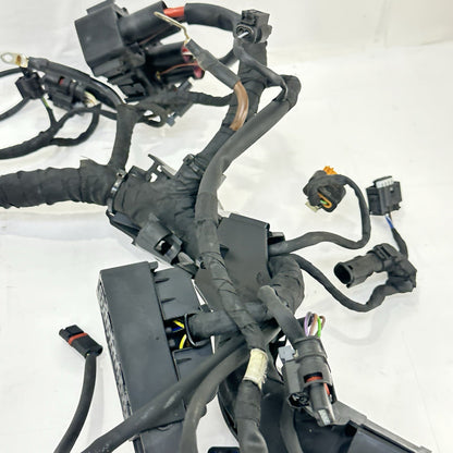 Image #7