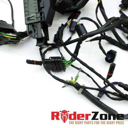 20 - 2022 BMW S1000RR MAIN HARNESS ENGINE WIRING COMPLETE LOOM ELECTRICAL PLUGS
