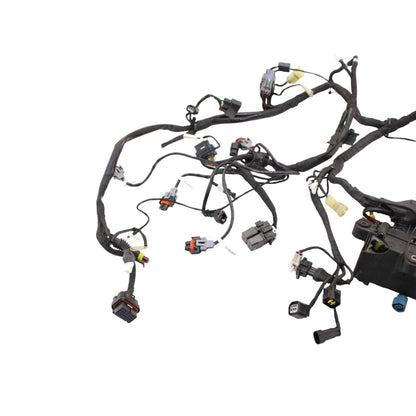 2016 - 2019 DUCATI PANIGALE 959 MAIN HARNESS ENGINE WIRE LOOM ELECTRICAL
