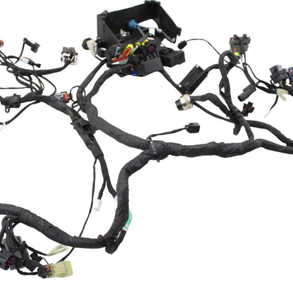 2016 - 2019 DUCATI PANIGALE 959 MAIN HARNESS ENGINE WIRE LOOM ELECTRICAL