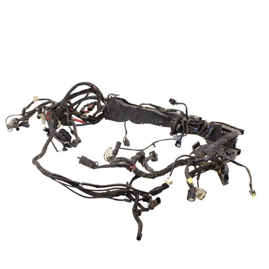2017 - 2023 Harley Davidson Street Glide MAIN WIRING ABS HARNESS STOCK 69201121A