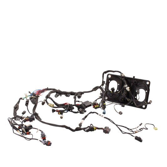 2016 - 2019 DUCATI PANIGALE 959 MAIN WIRING HARNESS ELECTRICAL SYSTEM STOCK