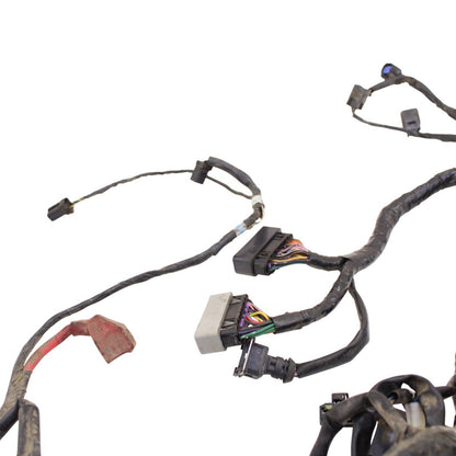 2006 - 2008 TRIUMPH DAYTONA 675 MAIN HARNESS ENGINE WIRING LOOM *DAMAGED*