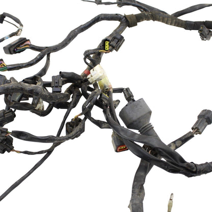 2006 - 2008 TRIUMPH DAYTONA 675 MAIN HARNESS ENGINE WIRING LOOM *DAMAGED*