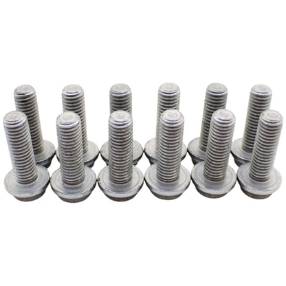 2020 - 2023 BMW S1000RR FRONT BRAKE ROTOR BOLTS SILVER STRAIGHT
