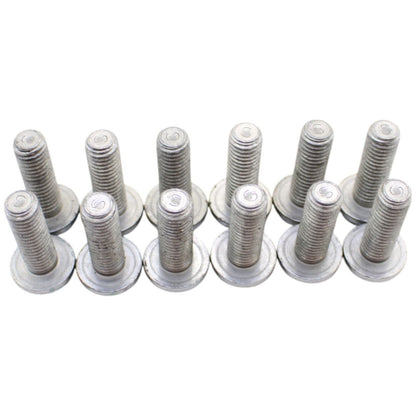 2020 - 2023 BMW S1000RR FRONT BRAKE ROTOR BOLTS SILVER STRAIGHT