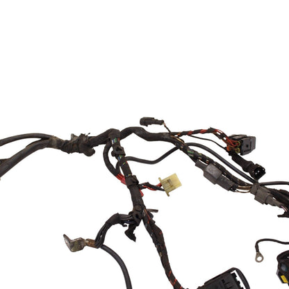 2003 - 2006 DUCATI 999 749 MAIN HARNESS WIRING LOOM ELECTRICAL SYSTEM STOCK