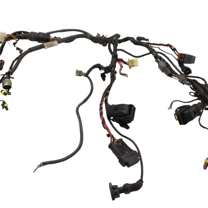 2003 - 2006 DUCATI 999 749 MAIN HARNESS WIRING LOOM ELECTRICAL SYSTEM STOCK