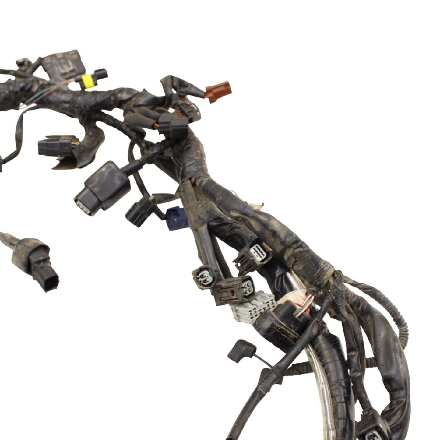 2017 - 2020 Honda CRF1000L MAIN WIRE HARNESS WIRING LOOM CABLES ELECTRICAL