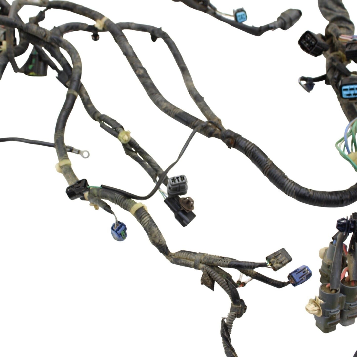 2019 - 2024 HONDA TALON MAIN HARNESS Engine Wiring LOOM ELECTRICAL SYSTEM