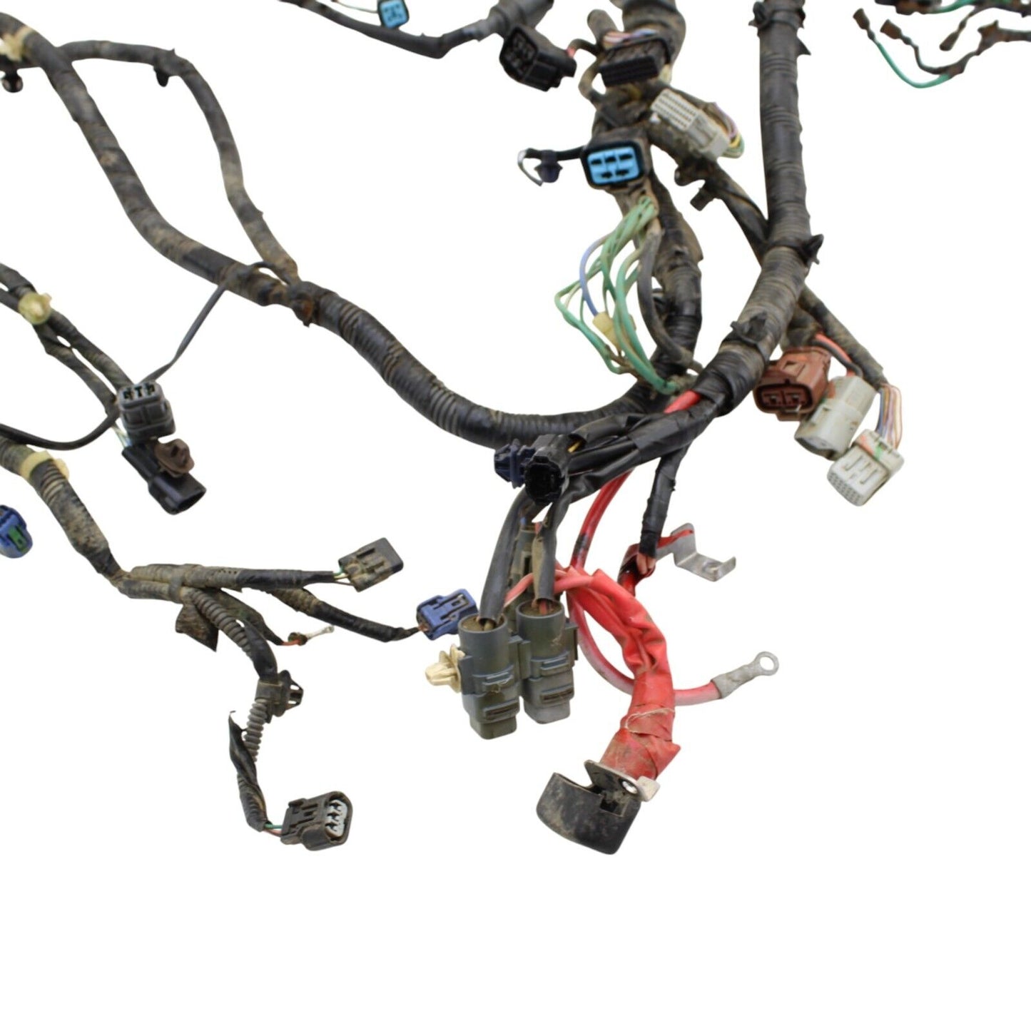 2019 - 2024 HONDA TALON MAIN HARNESS Engine Wiring LOOM ELECTRICAL SYSTEM