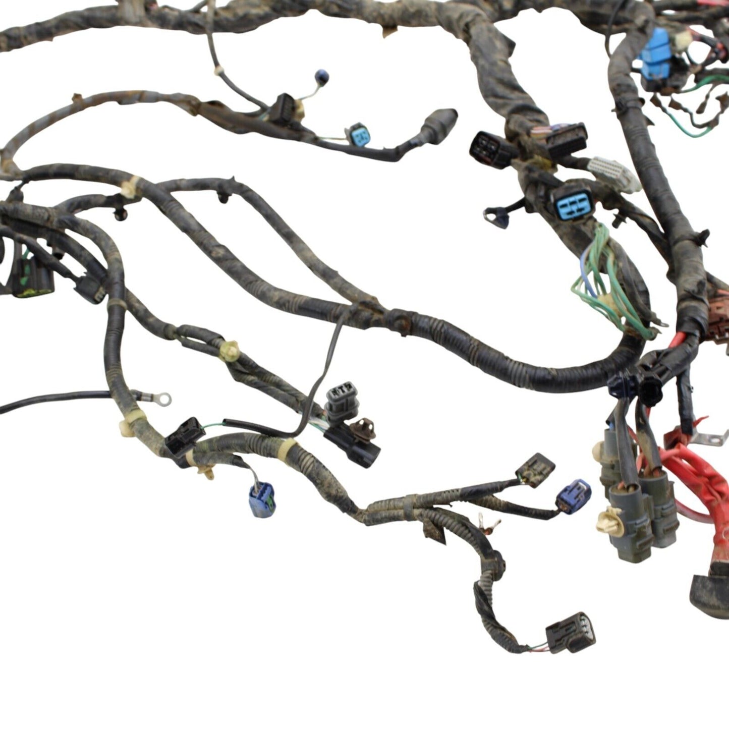 2019 - 2024 HONDA TALON MAIN HARNESS Engine Wiring LOOM ELECTRICAL SYSTEM
