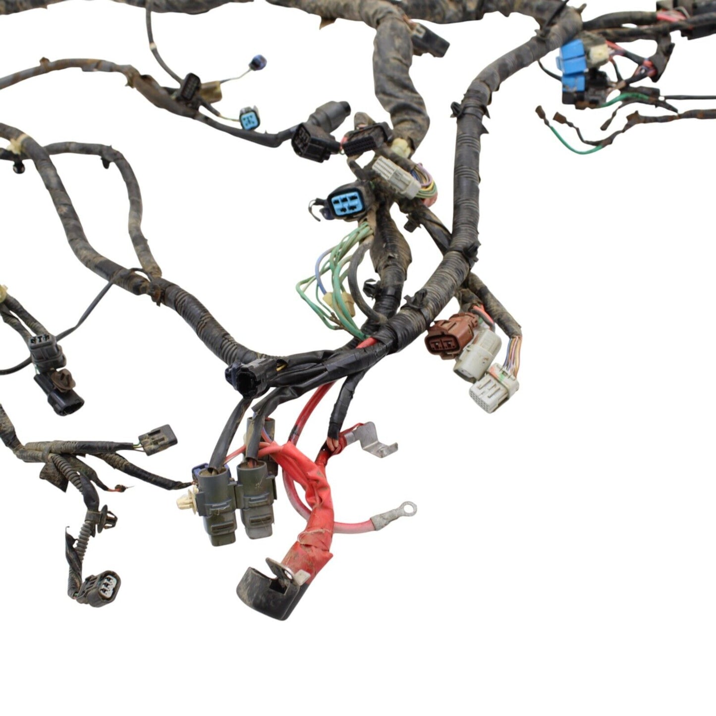 2019 - 2024 HONDA TALON MAIN HARNESS Engine Wiring LOOM ELECTRICAL SYSTEM