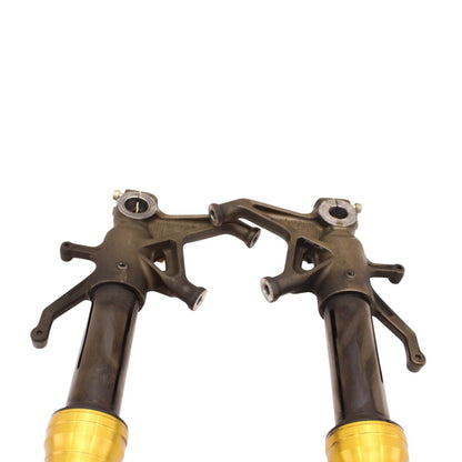 2004 2005 KAWASAKI NINJA ZX10R FORKS FRONT SUSPENSION SET FORKS TRIPLE TREE GOLD