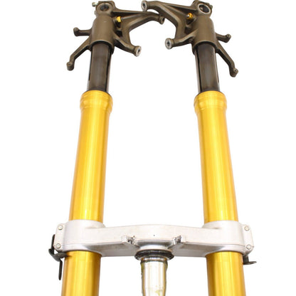 2004 2005 KAWASAKI NINJA ZX10R FORKS FRONT SUSPENSION SET FORKS TRIPLE TREE GOLD