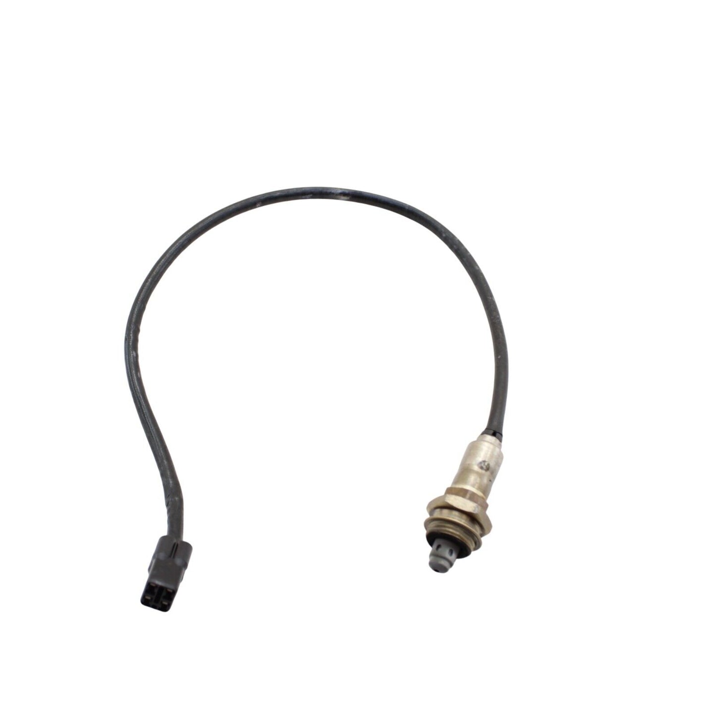 2020 - 2024 DUCATI PANIGALE V2 O2 SENSOR OXYGEN EXHAUST WIRE GAS LAMBDA OEM