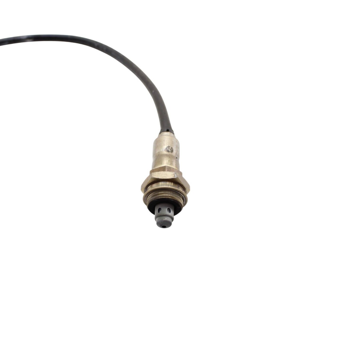 2020 - 2024 DUCATI PANIGALE V2 O2 SENSOR OXYGEN EXHAUST WIRE GAS LAMBDA OEM