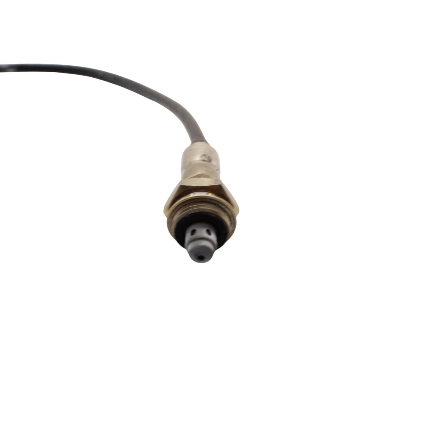 2020 - 2024 DUCATI PANIGALE V2 O2 SENSOR OXYGEN EXHAUST WIRE GAS LAMBDA OEM