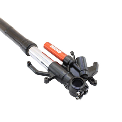 2021 - 2024 KAWASAKI NINJA ZX10R FORKS FRONT SUSPENSION BLACK RIGHT LEFT TUBE
