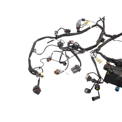 2016 - 2019 DUCATI PANIGALE 959 MAIN HARNESS ENGINE WIRE LOOM ELECTRICAL